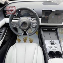 بی وای دی سيل 06 DM-i